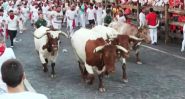 Les taureaux de San Fermín de retour