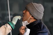 Chine: le point sur l'épidémie de fièvre chikungunya