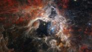Le télescope James Webb découvre sa première exoplanète