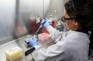 Dans les coulisses de la course au dépistage de l'hantavirus sur le bateau de croisière