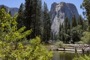 L'administration Trump sur le point de céder une petite partie du parc Yosemite