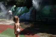 Canicule en France: 40°C dépassés dans plus de 80 départements en juin