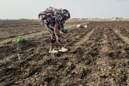 L'ONU prévoit un El Niño «de très forte intensité» ces cinq prochains mois