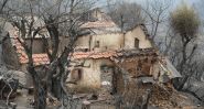 Algérie: après les incendies, face aux pertes