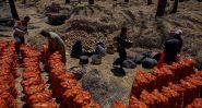 Égypte : la guerre au Moyen-Orient touche les champs