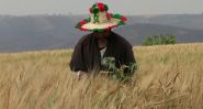 Maroc : le retour de la pluie ne suffit pas à sauver les agriculteurs