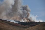 Plus de 40.000 évacués face à un feu de forêt dans le Nevada