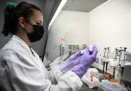 Parkinson, une maladie assez fréquente mais encore mal comprise