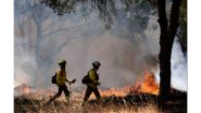 Un feu de forêt fait au moins 11 morts près d'Almeria, dans le sud de l'Espagne
