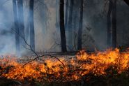 Incendie de forêt dans le sud-ouest de l'Espagne, 4.000 hectares touchés