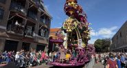 Pays-Bas: à Zundert, les dahlias deviennent des œuvres d’art