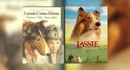 The Real Story of Lassie: The Collie Who Captivated the World
