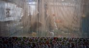 Cachemire : une tradition de plusieurs siècles menacée