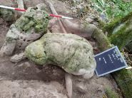 Une ancienne cité maya révélée au Guatemala après 2.800 ans