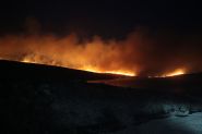 Turquie: l'un des feux près d'Izmir maîtrisé, mais la forêt brûle encore