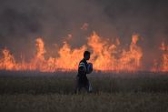 Climat : la Cour internationale de justice s'apprête à trancher