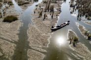 La sécheresse menace les marais irakiens