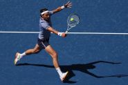 Germany, France, Argentina and Austria on Brink of Davis Cup Finals