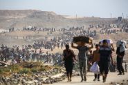 Plan de paix pour Gaza : principales réactions à la réponse du Hamas