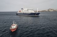 Un Américain passager du MV Hondius testé positif à l'hantavirus