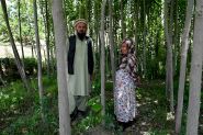 Afghanistan: le retour des forêts après des décennies de déforestation
