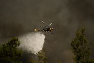 Grèce: des bombardiers d'eau décollent contre les incendies près d'Athènes