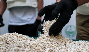 Saisie de 866 kg de Captagon dans le cadre d'une opération antidrogue conjointe libano-saoudienne