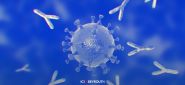Covid-19: campagne de vaccination avec le bivalent