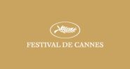 L'effroi à Cannes: le destin brisé d’une photojournaliste de Gaza