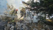 Incendies dans le Akkar: l’armée mobilise ses hélicoptères face à un feu ravageur