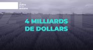 Quatre milliards de dollars: le poids réel de l’agriculture libanaise