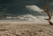 La moitié de l'humanité a subi un mois supplémentaire de canicule à cause du réchauffement, selon une étude