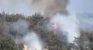 Un incendie ravage la forêt de Qammouaa, joyau naturel historique du Liban