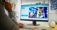 Does Your Cat Talk to You? An AI Claims It Can Understand