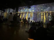 Van Gogh Immersion: At the Heart of Light