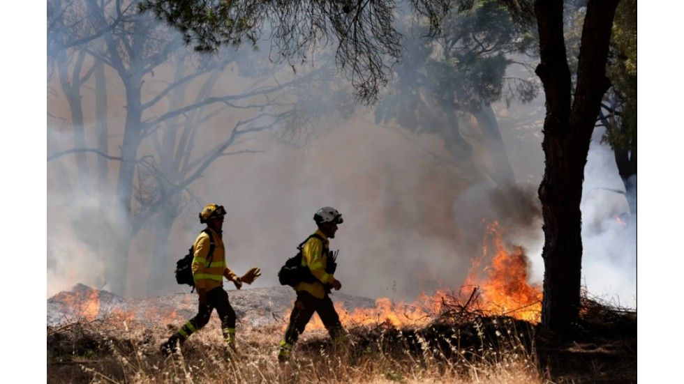 Un feu de forêt fait au moins 11 morts près d'Almeria, dans le sud de l'Espagne