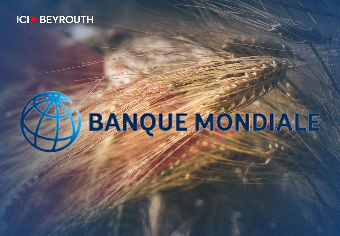 La Banque mondiale soutient l’importation de blé au Liban