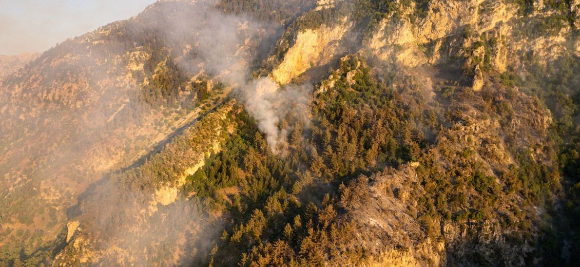 Plusieurs hectares de forêts ravagés par l’incendie de Wadi Jhannam