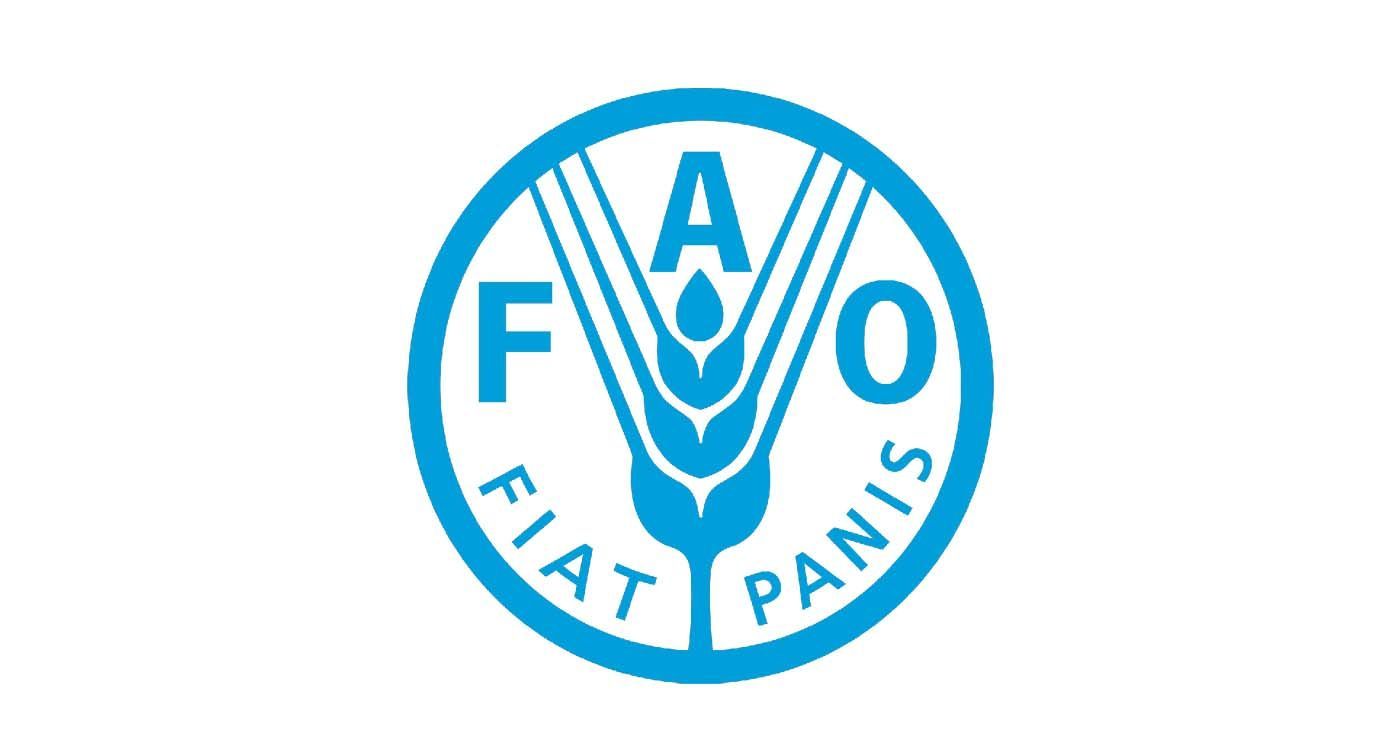 La FAO renforce ses partenariats pour l’avenir agricole du Liban