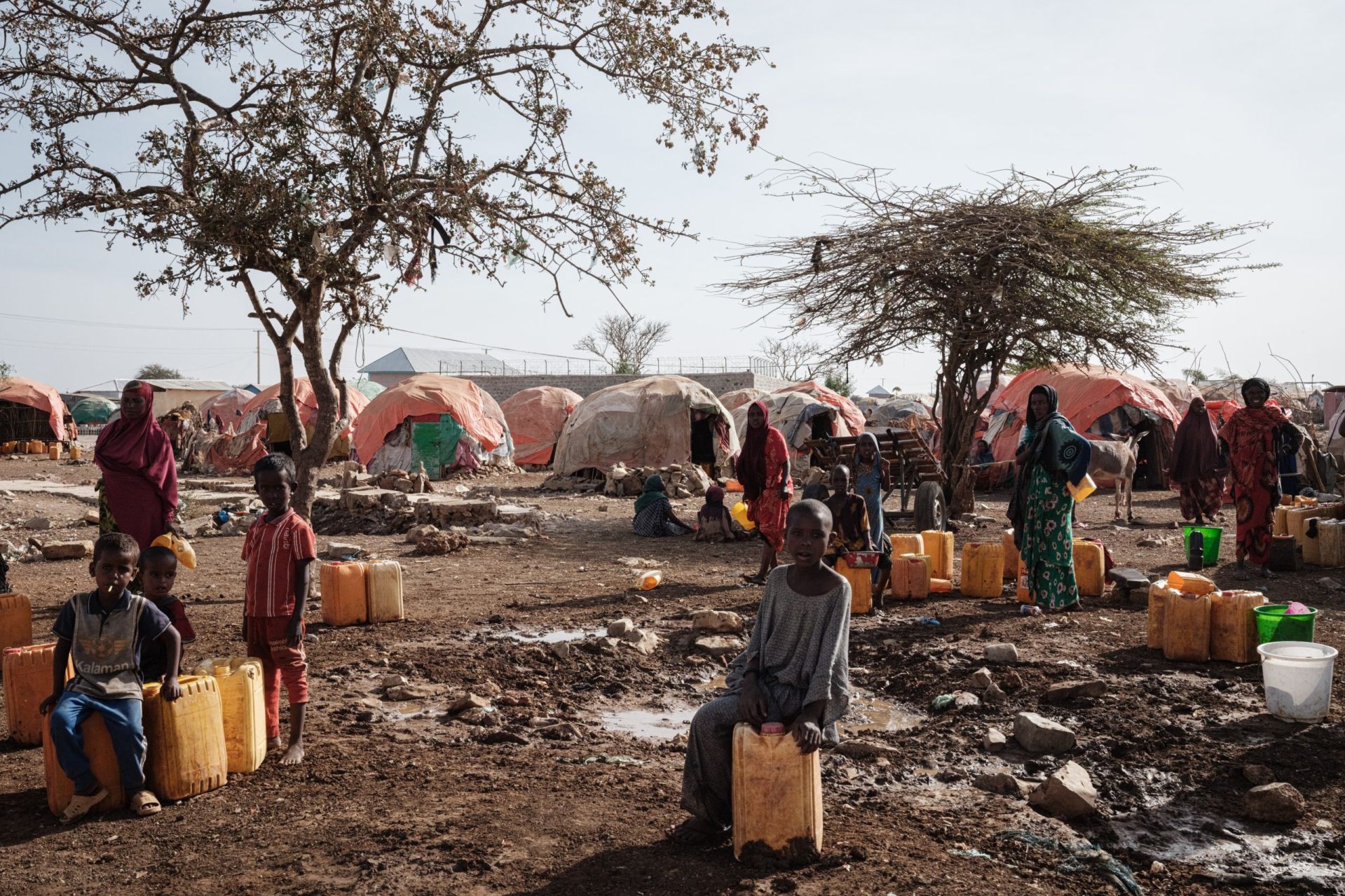 L'insécurité alimentaire en forte hausse, avertit l'ONU