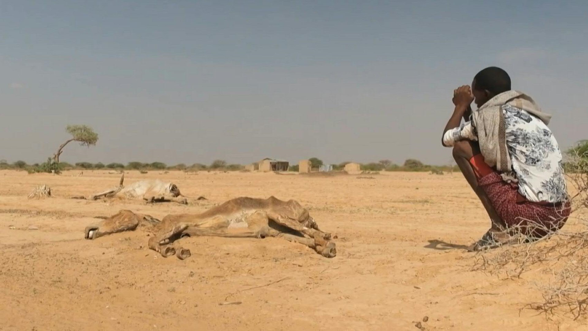 «Ultime avertissement» de l'ONU: la Somalie menacée de famine