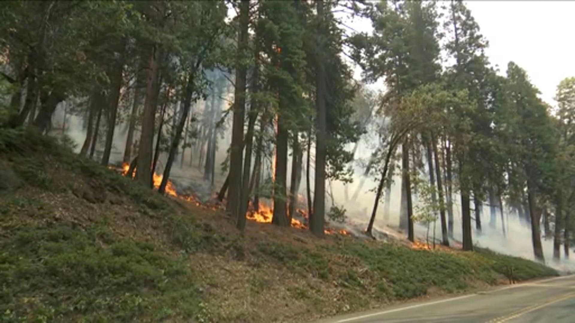 Californie: le feu menace les séquoias géants