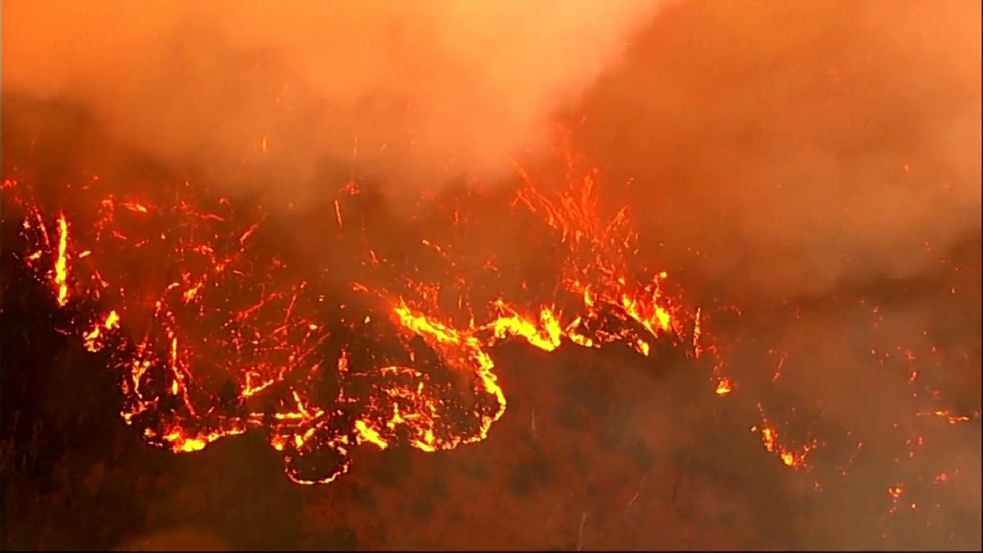 Un incendie «explosif» ravage les forêts californiennes