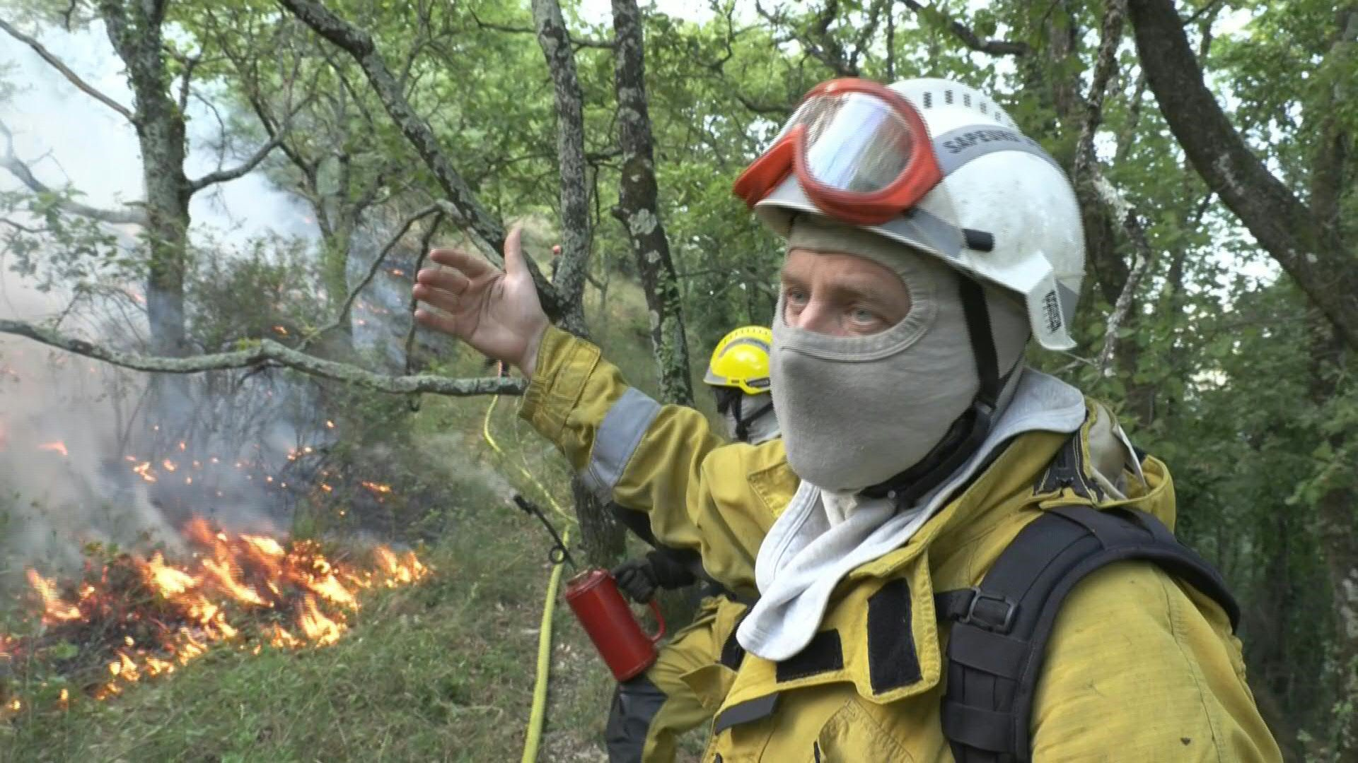 Sécheresse, canicule, incendie: 2022, l'été meurtrier