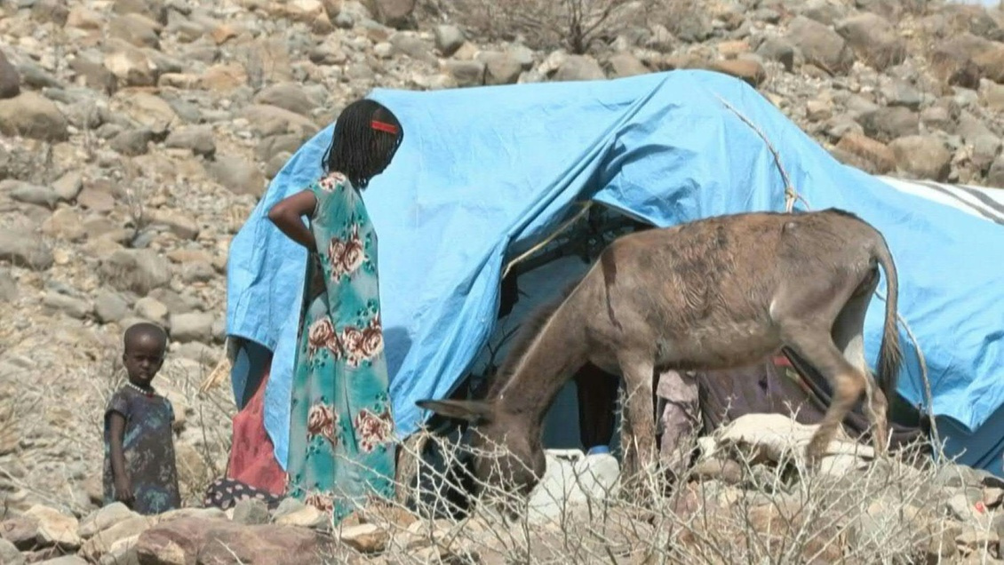 Les catastrophes climatiques augmentent le nombre d'affamés