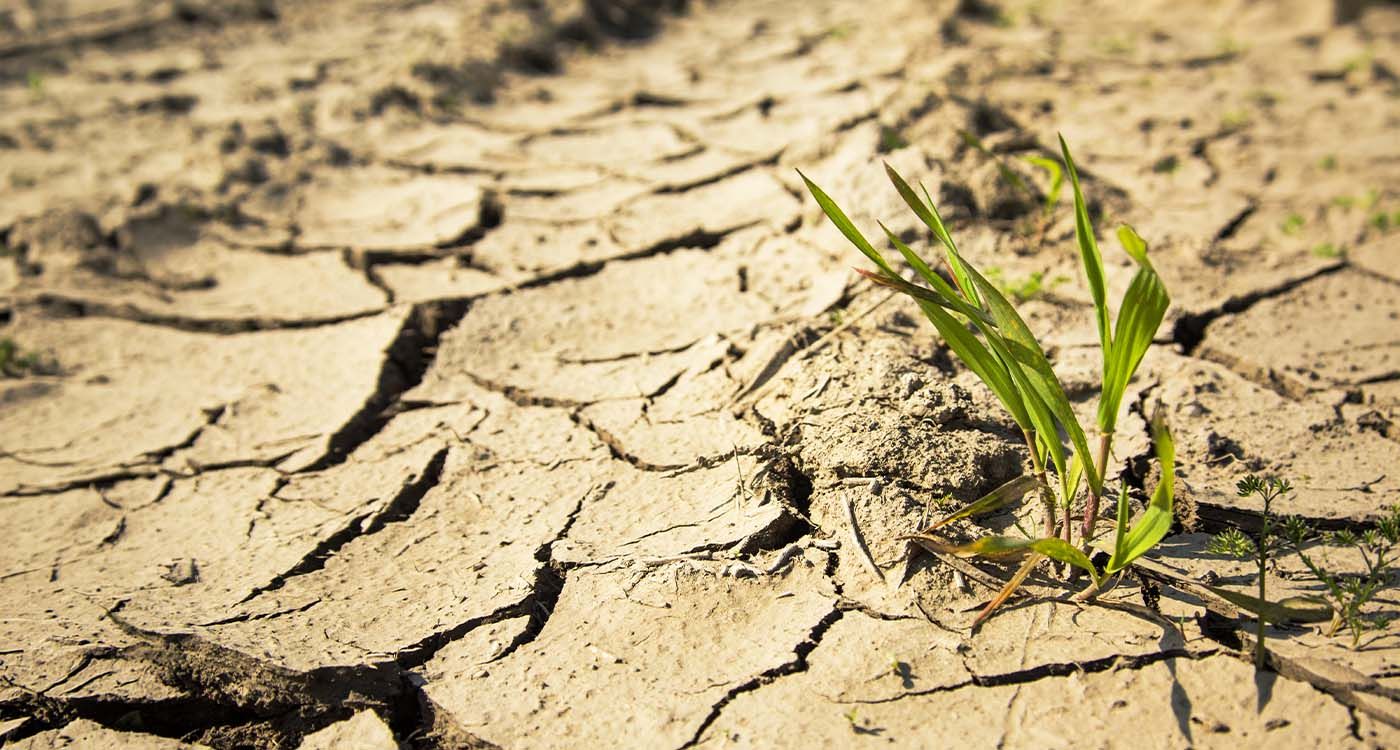Liban: un pays riche en eau… mais confronté à la pénurie