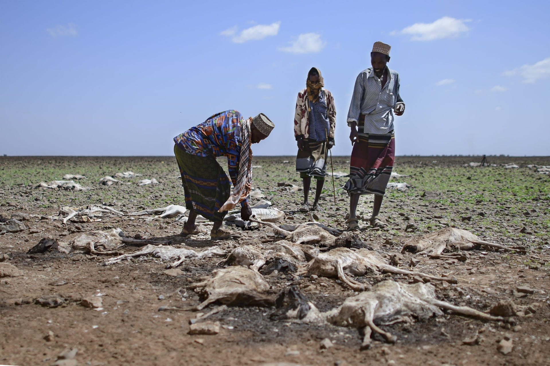 Climat: la trilogie scientifique qui met en garde l'humanité