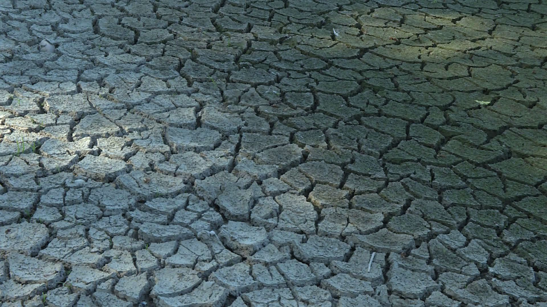 La canicule frappe de nouveau la France