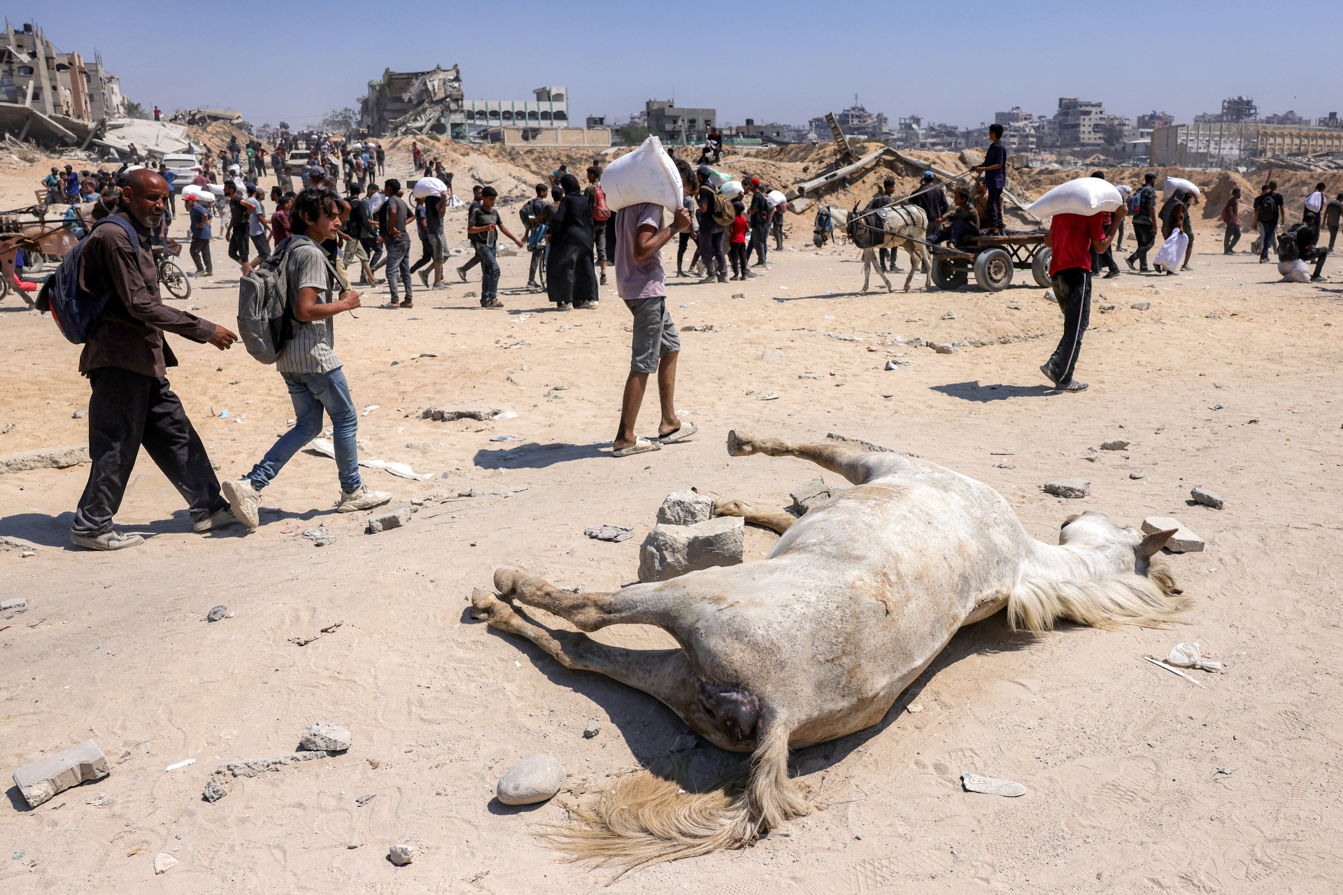 Trump annonce la mise en place de centres de distribution alimentaire à Gaza