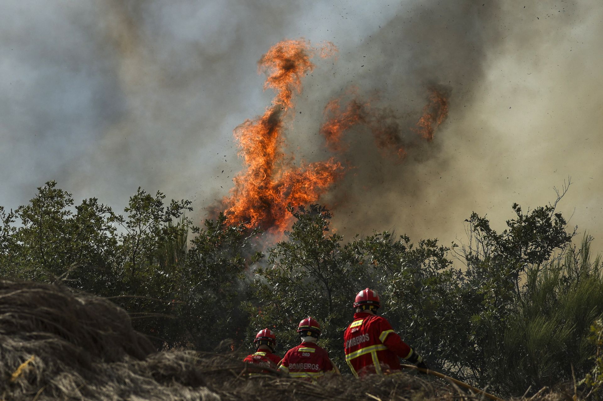 Canicule: d'un site espagnol classé par l'Unesco aux Balkans, les incendies font rage en Europe